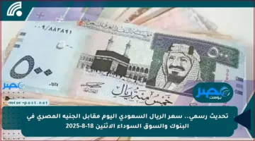 تحديث رسمي.. سعر الريال السعودي اليوم مقابل الجنيه المصري في البنوك والسوق السوداء الاثنين 18-8-2025
